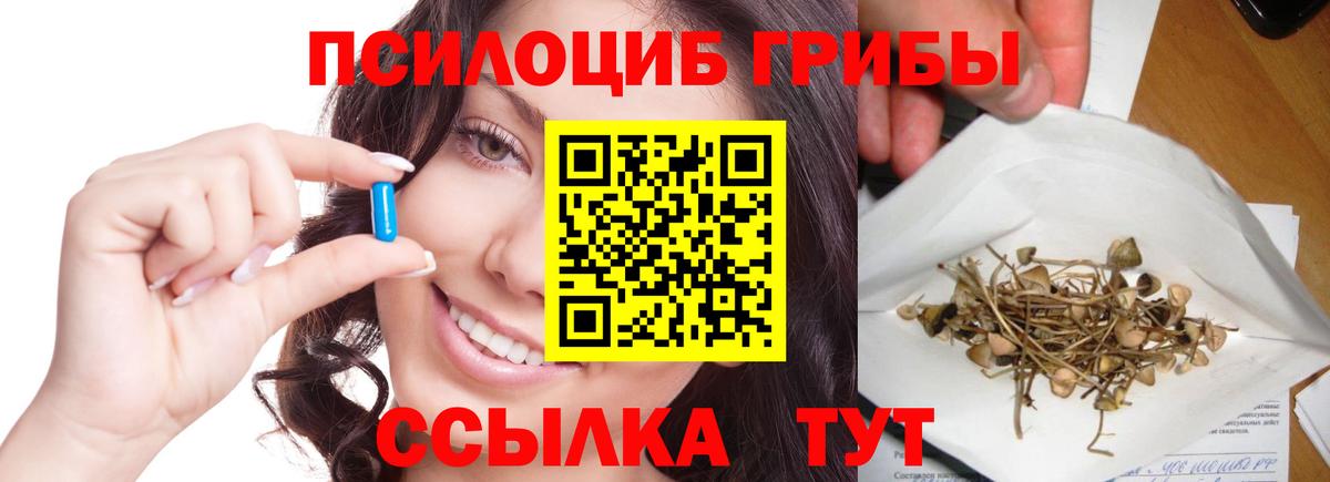 Галлюциногенные грибы ЛСД Лесной